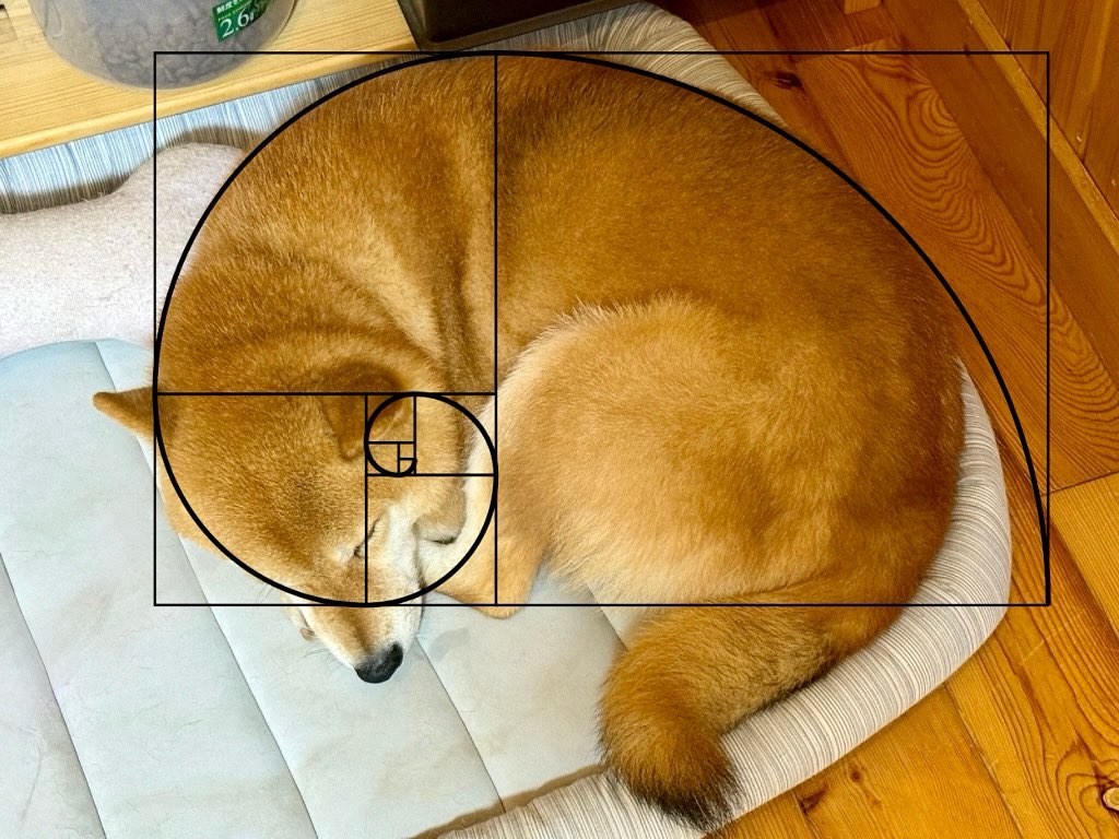 フィボナッチ数列