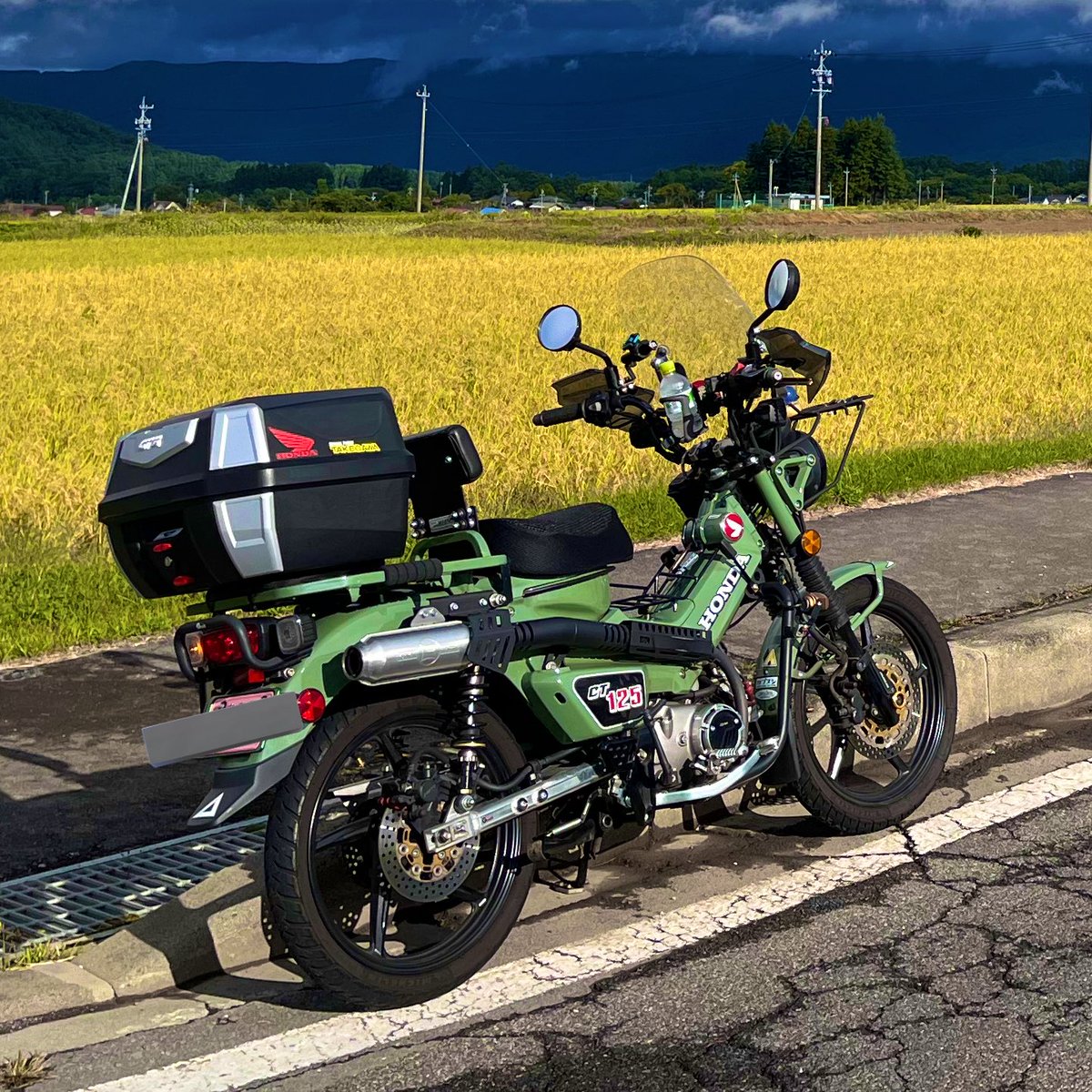 #斜め後ろからの姿も美しい見た人もやる