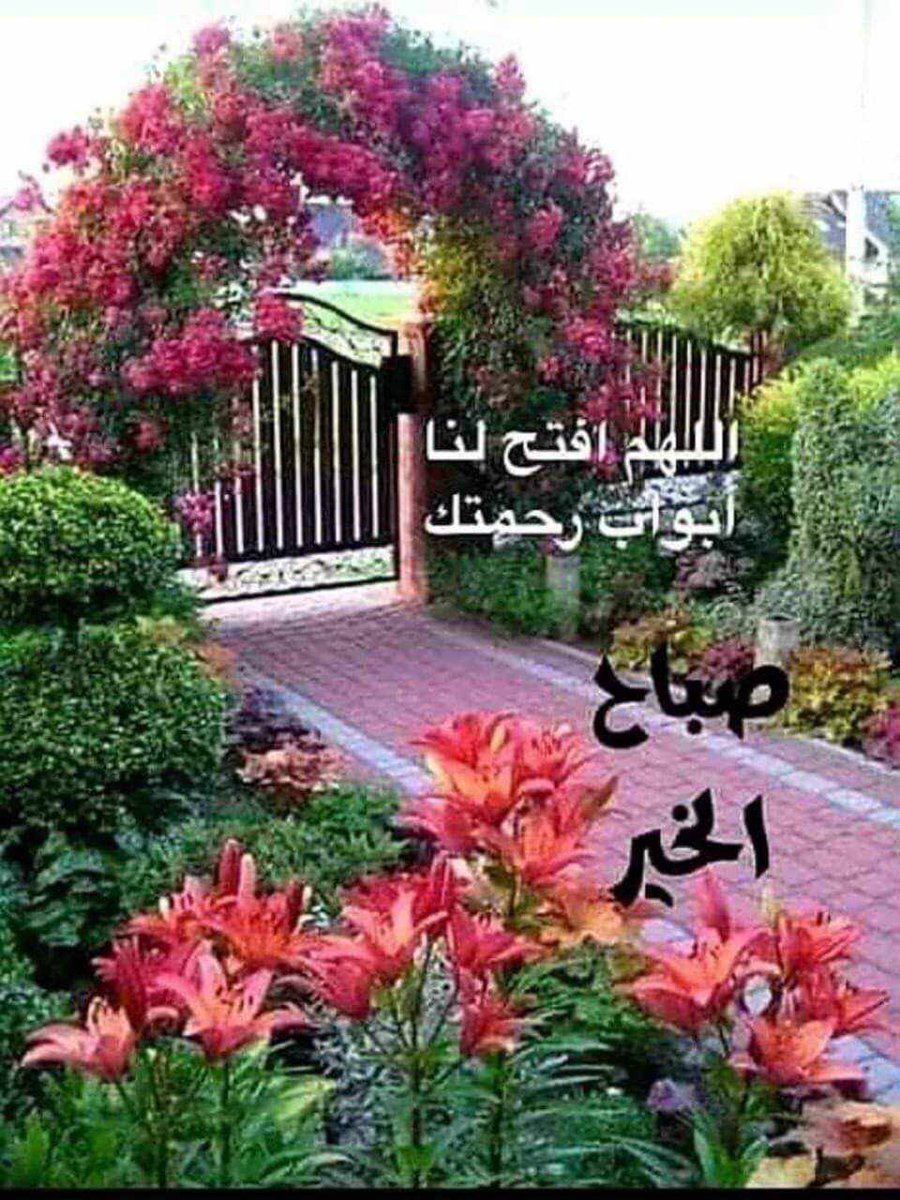 🇮🇶❤️🇮🇶ENG.MOHAMMED 1 🇮🇶❤️🇮🇶 tweet media