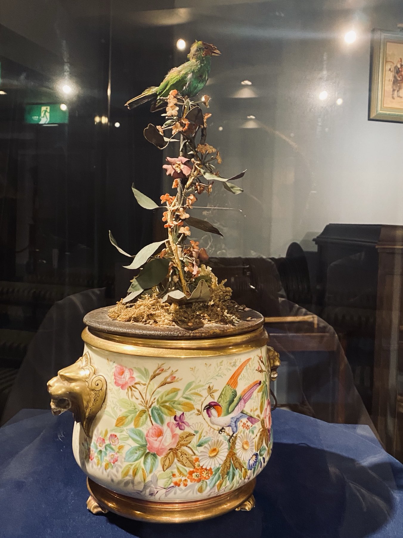 オルゴール murayama 👓✨ Lab Rabbit Optics | Chicago's Best Optical