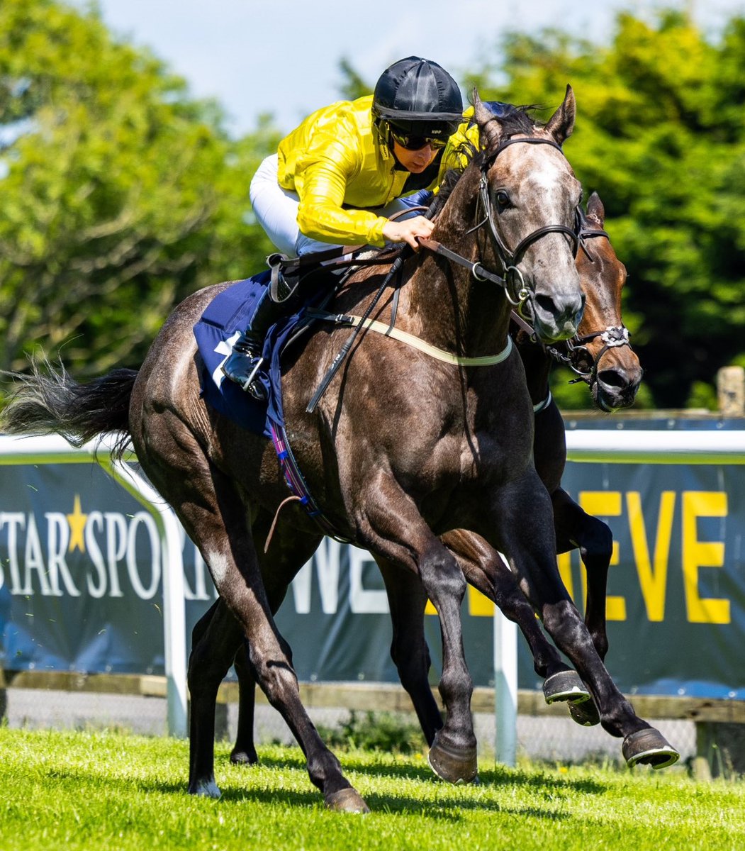 The Naming Game tweet media