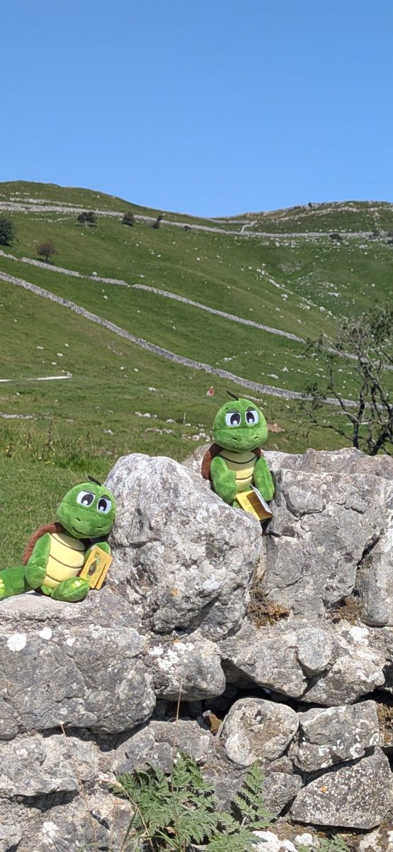 <a href="/5teadyEddie/">steady Eddie</a> has been on his travels again <a href="/StrokeInfo1/">Stroke Information</a>