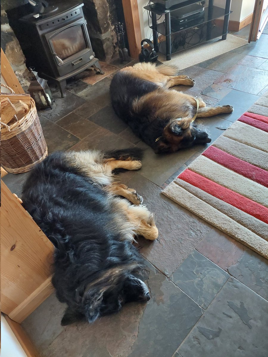 Sleeping beauties 💕 💖 💓