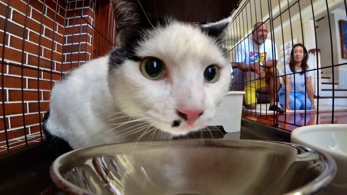 minnano_zoo_ntv's tweet image. #嗚呼みんなの動物園 
ご視聴ありがとうございました🙌
#竹野内豊 さんと挑んだ節目の
#相葉トリミング いかがでしたか?👀💚
これからも1匹でも多くの
ワンちゃんと向き合い
キレイにしていきます🐶💗✨️
#池崎一門 の一番弟子 #ラミレス さんと
モンローの新生活もお楽しみに!
 #相葉雅紀