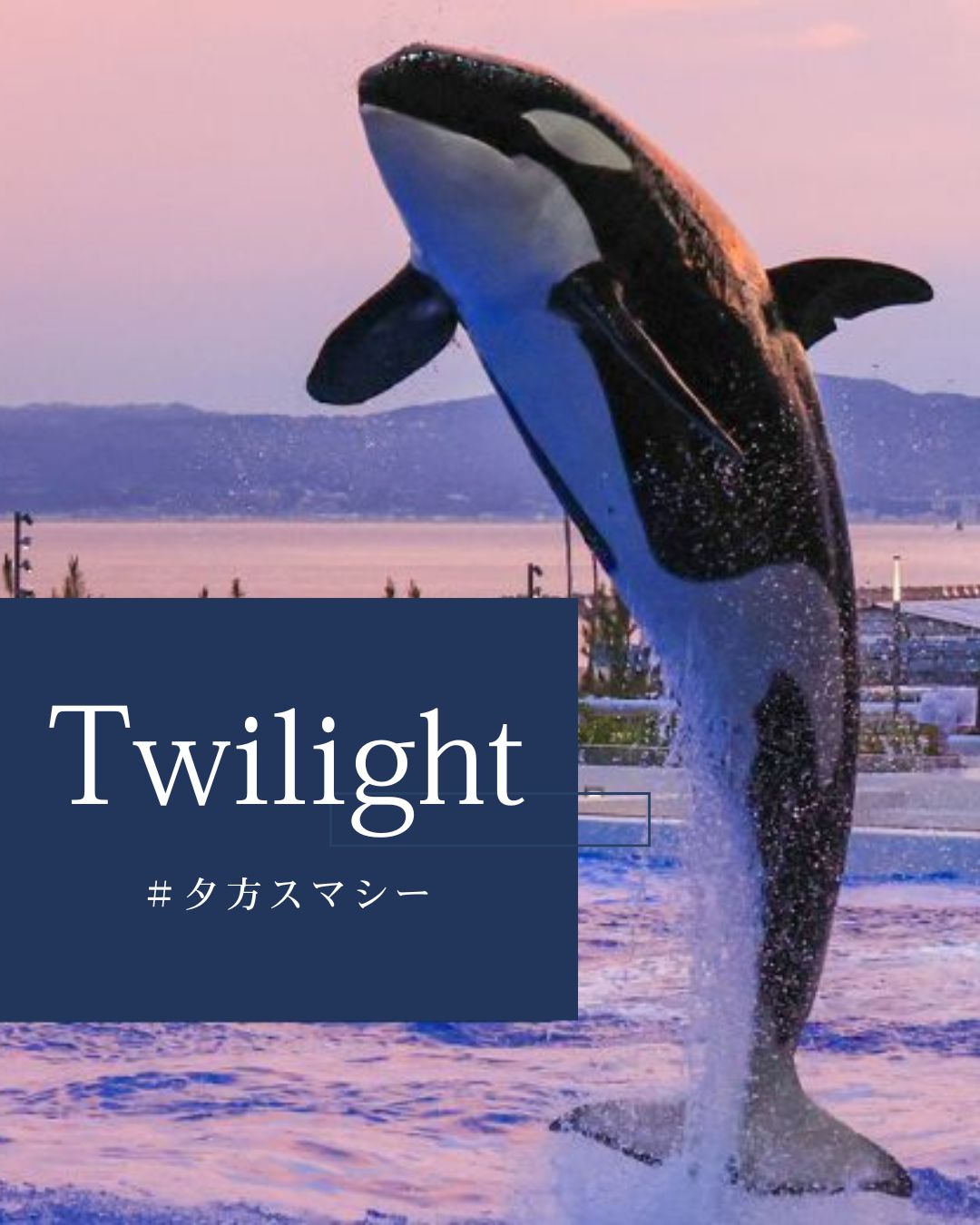 水溜りオンエアチケット LAWSON premium event TrySailのMusic Rainbow 09」年末レインボ