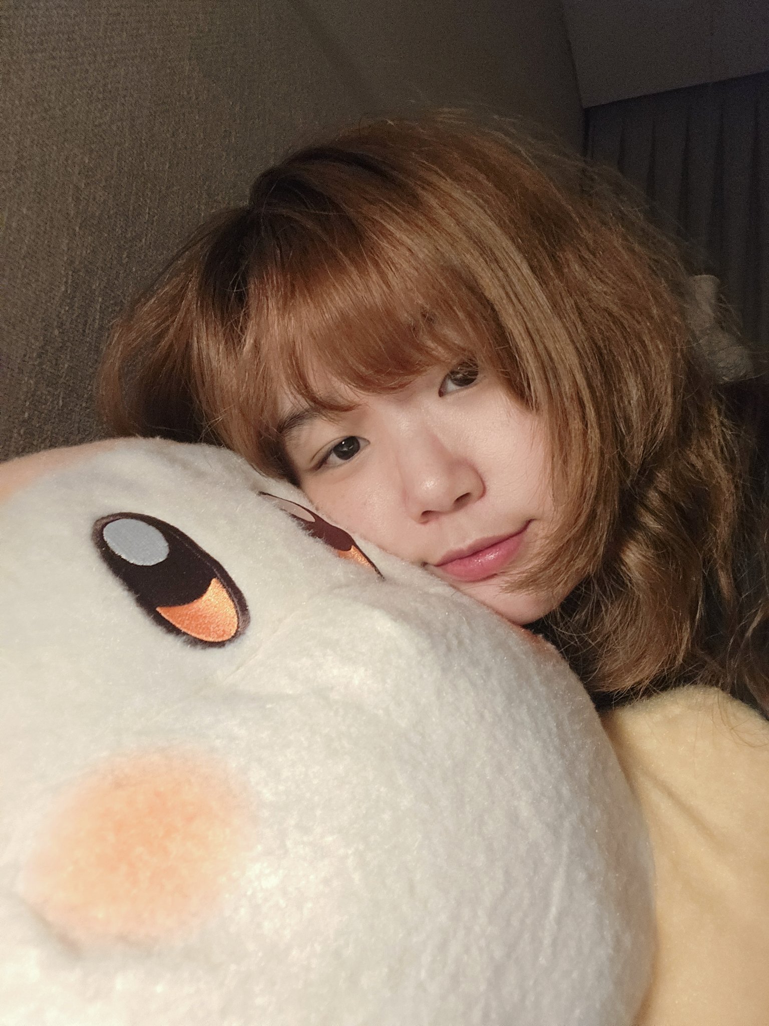 わにゃ〜 - البحث / X