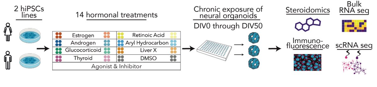 androgen (AND), estrogen (EST), glucocorticoid (GC), thyroid (THY), retinoic acid (RA), liver X (LX), and aryl hydrocarbon (AH)
/7
