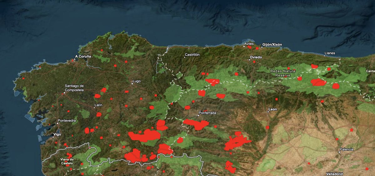 rescodedios's tweet photo. Increíble el solape entre incendios (rojo) y áreas protegidas (verde claro) de la última semana.
Fuente: https://t.co/BL1UviXXY2 https://t.co/ADLARDraTJ