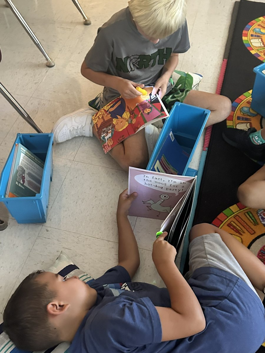 CrockerMama's tweet photo. Today we enjoyed flashlight reading Friday exploring our classroom library choices! @MVESGainesville #FunFriday #firstgraderocks https://t.co/ze1krGgyvy