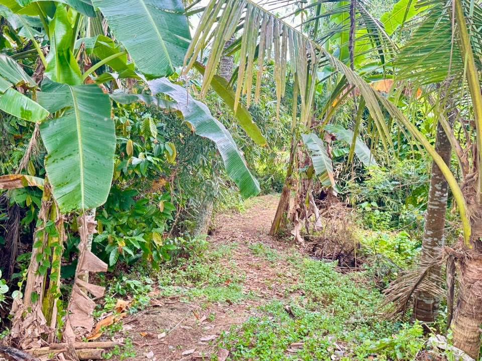 Day 1 - Complete!! 🇮🇩🇮🇩🇮🇩#Indonesia5MarathonsChallenge