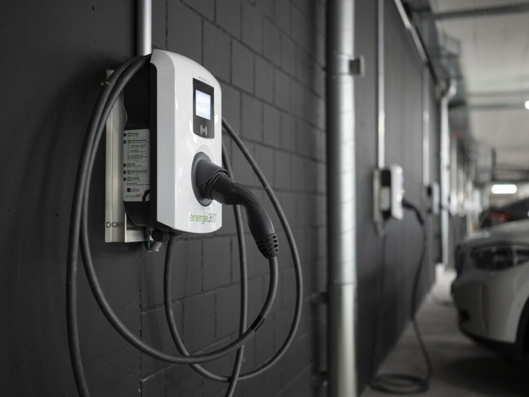 noixdecitron tweet media