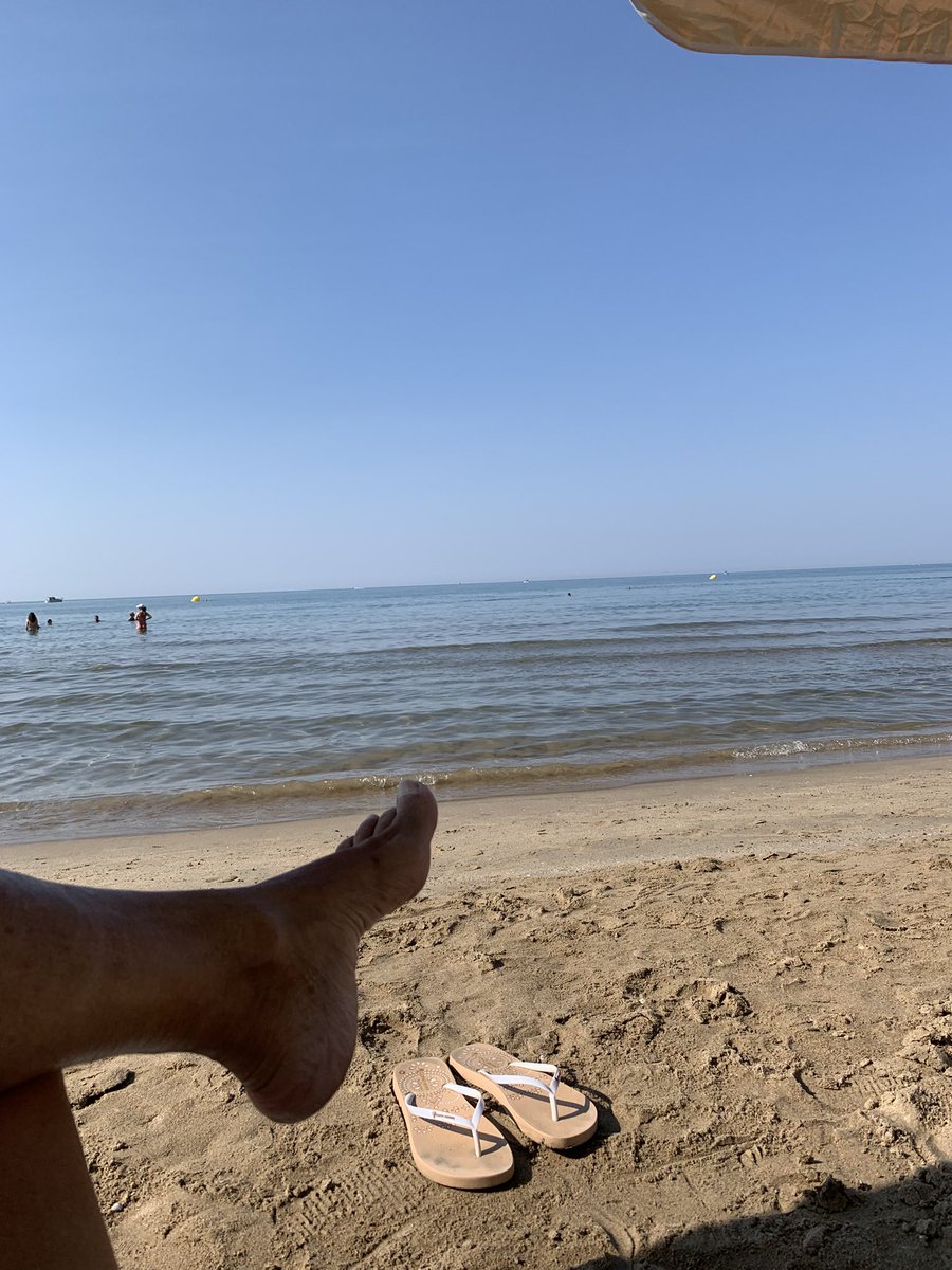 Bonjour encore une belle journée ☀️