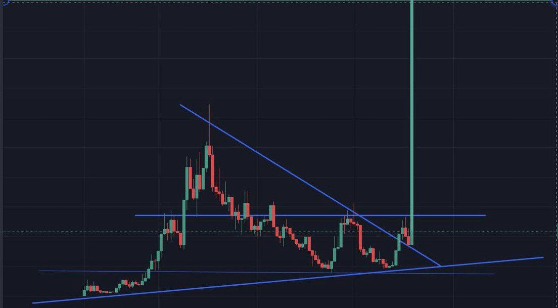 Rekt Fencer tweet media