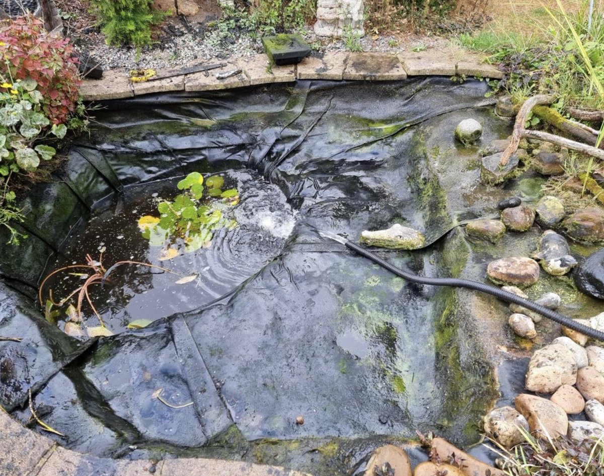 🐠 Specialist Pond Maintenance in Watford.

Aqua Pond Ltd delivers expert care for garden ponds and water features.
They’re known for their attention to detail, biological know-how, and long-term maintenance support. 🌱

🔗 Get in touch at trustatrader.com

#TrustedTraders