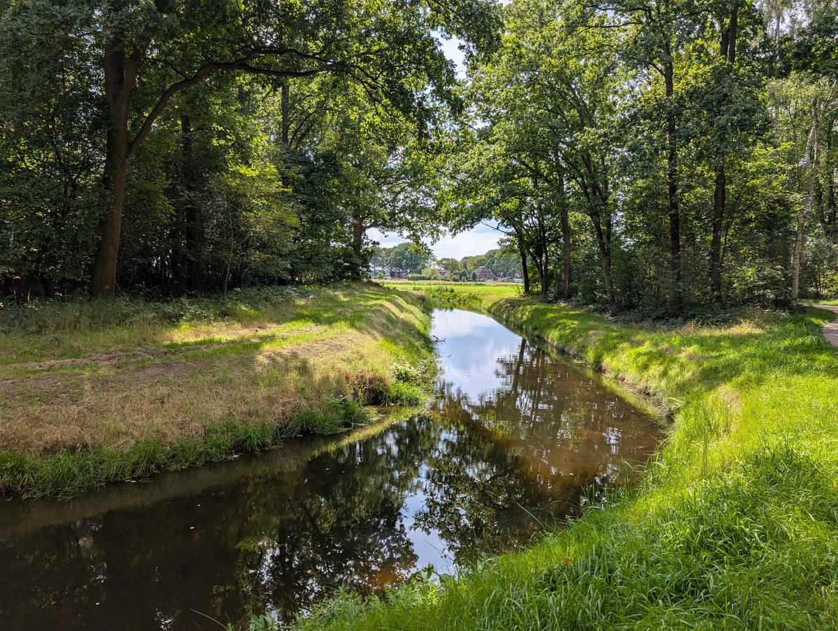 Goedemorgen allemaal, zo gesetteld en wel op de nieuwe plek. Mooi huisje in het bos. 
We gaan genieten, jullie toch ook?