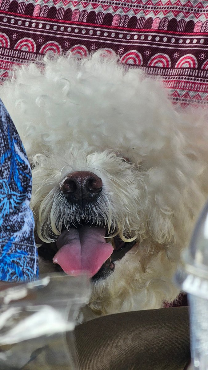 남색대문 생각나 ~ ㅜㅜ
마지막은 끼워넣기