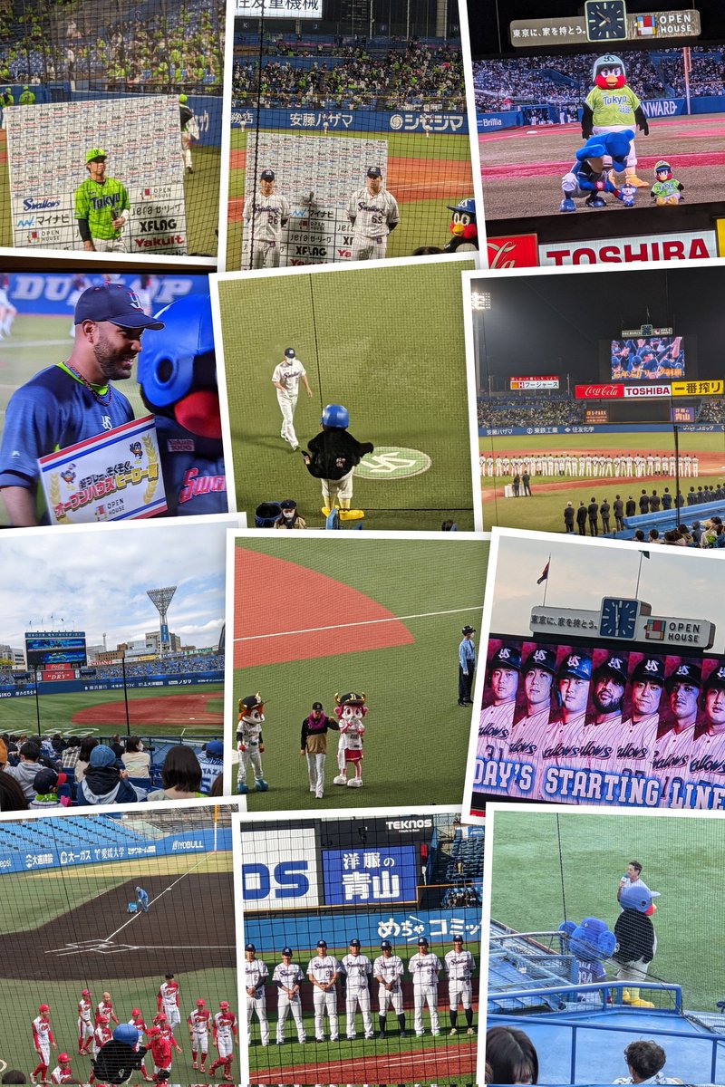 つばくろうさん、
帰らずにチームのそばにいてね。
これからも大好きだよー🐧💕
#つば九郎 
#月命日