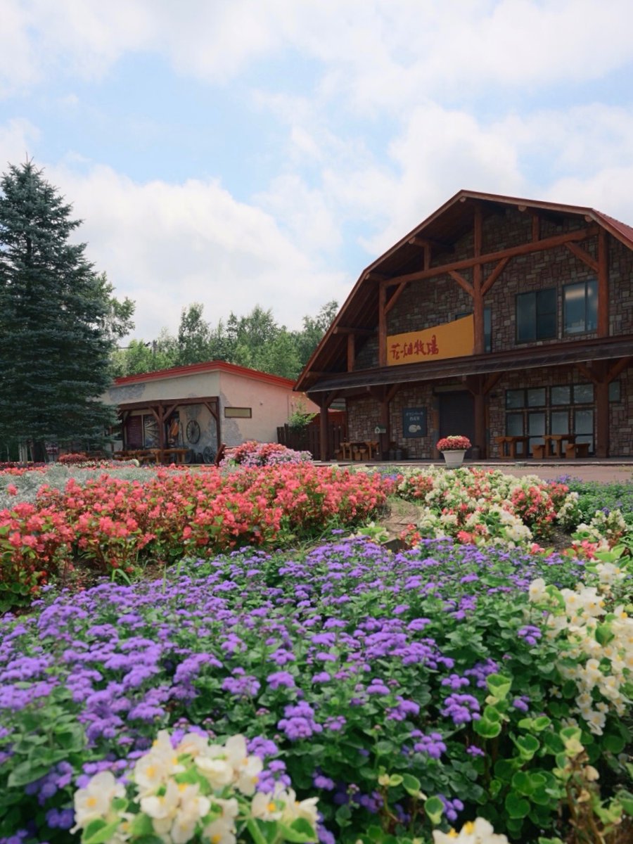 とろふわ食感のピザも絶品
十勝花畑牧場のとろける夏！