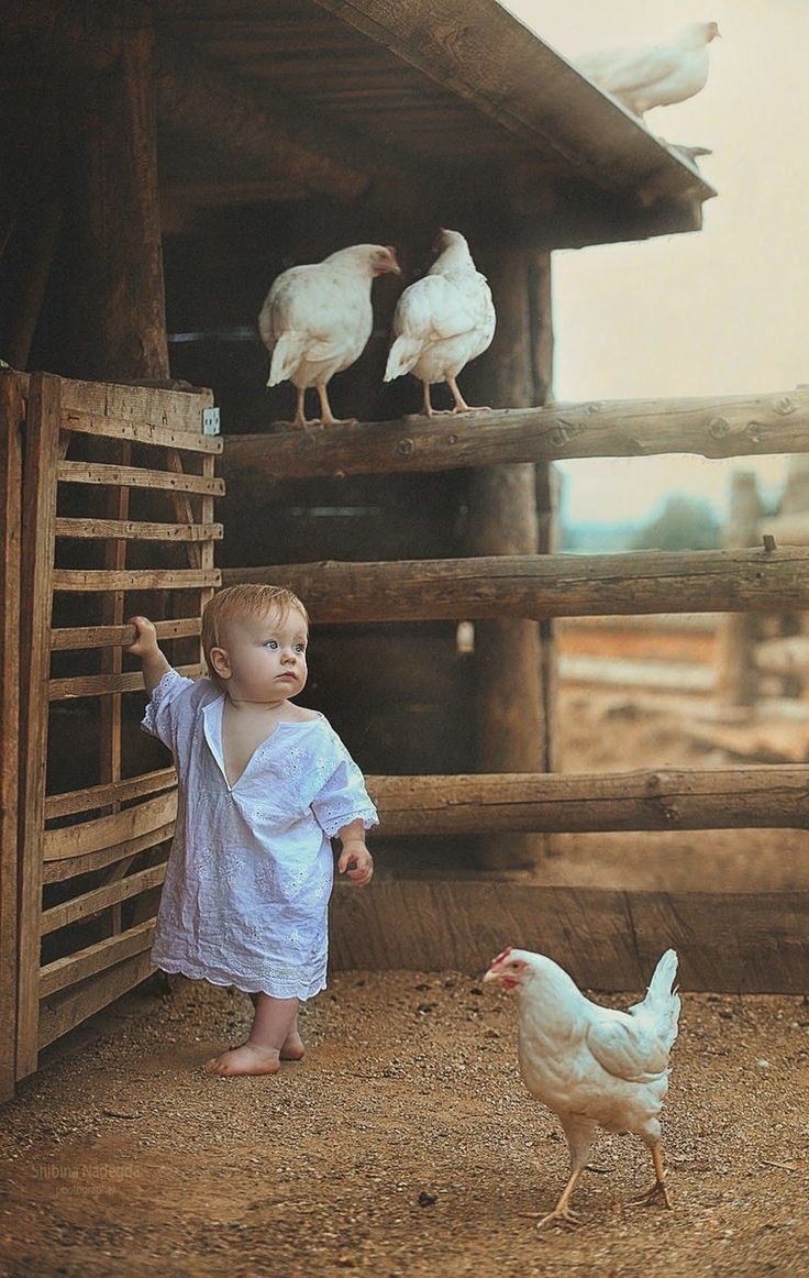 “Sabah kalkıp aynada kendinize gülümsediğinizde başlar gün..”

Enerjisi yüksek güzel bir gün olsun..

🥐☕️

#Günaydın