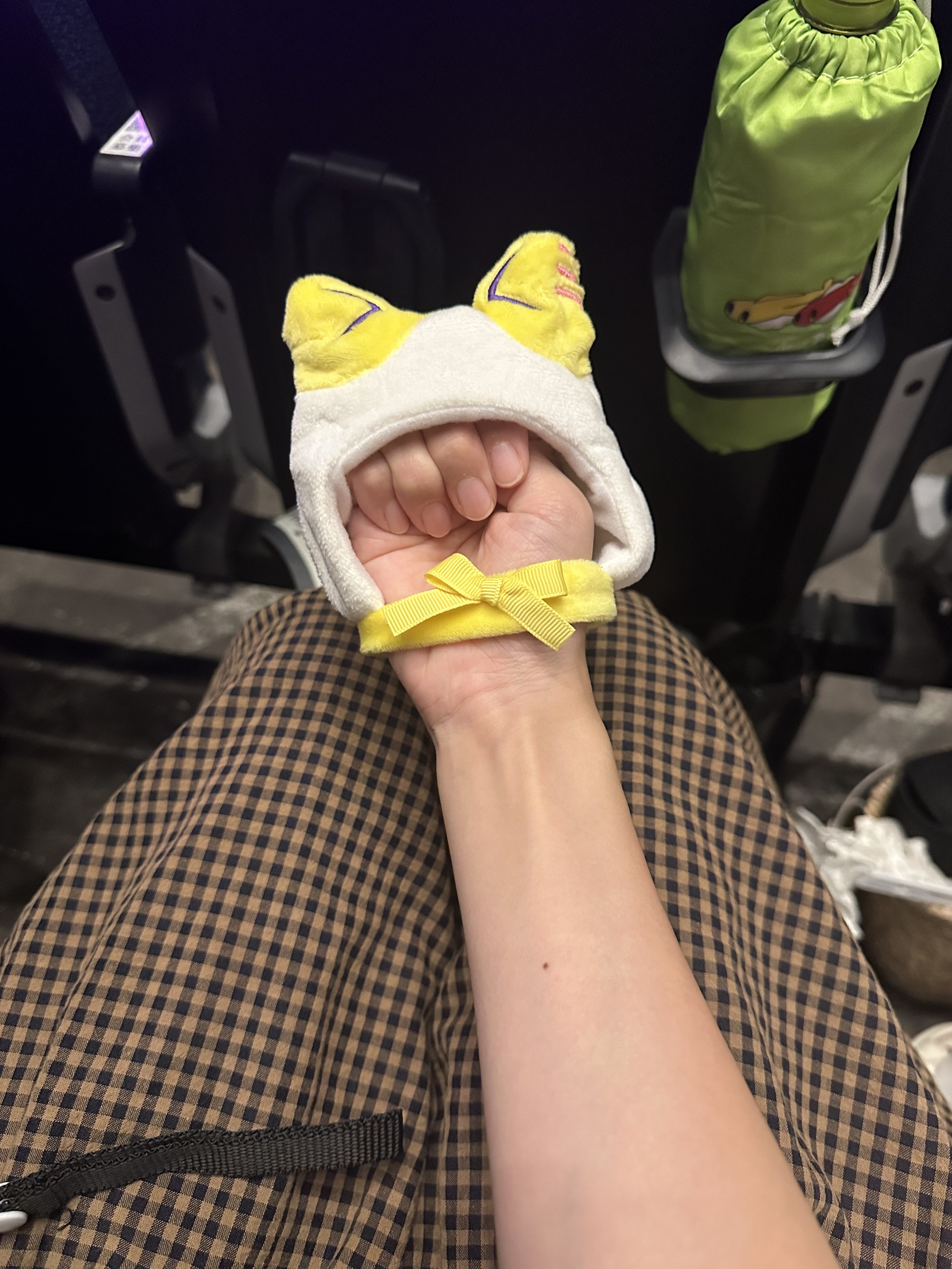 イソ野さん　ペンライトカバーのみ イソ野さん ペンライトカバーのみ 商品詳細ページ | ME:I