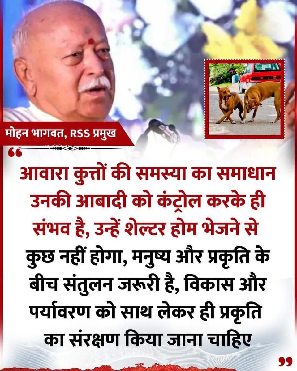 Bhatia3060's tweet photo. इन देशी ब्रीड को भी प्यार देकर अपनाओ अपने भारत की शान हैं, देखो कितने मासूम, और शरीफ दिख रहे हैं सारे।   @PMOIndia  @narendramodi    🐕❤️
#SaveDelhiNCRDogs #NoDogsNoVote https://t.co/JEbLS5aK3z