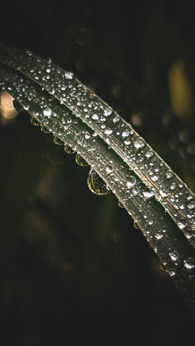 Somewhere over the rainbow.... 🥰
#photography