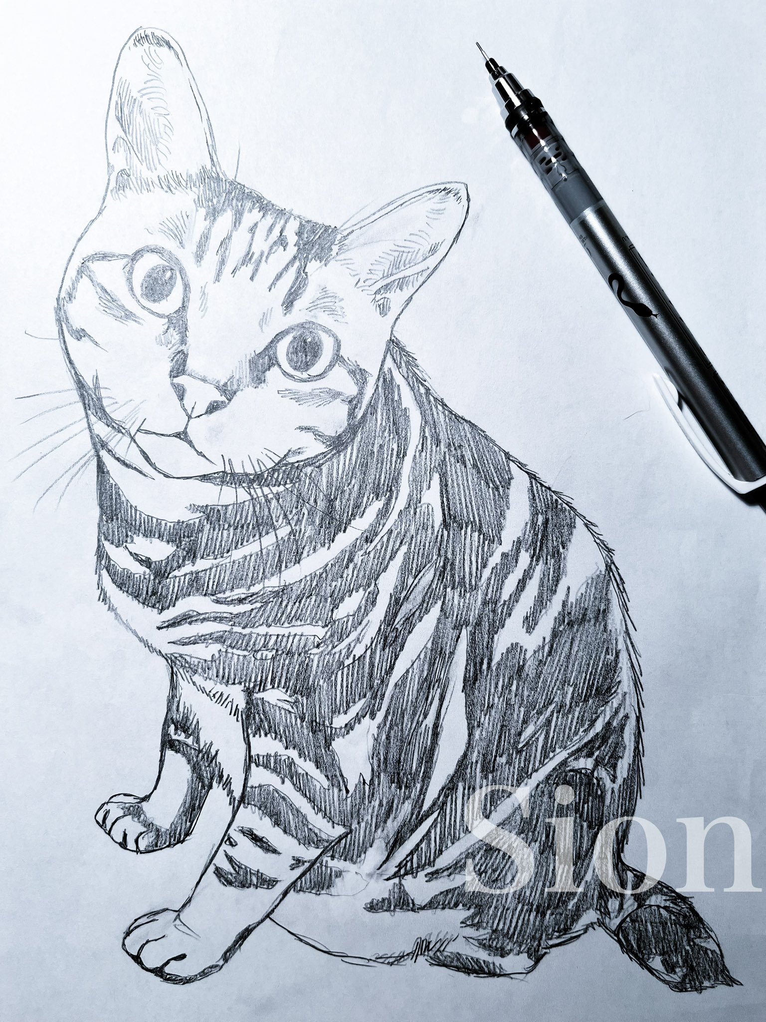 原画 デザイン画 三毛猫 SHION #59 File:Madaraneko by Takeuchi Seiho.jpg - Wikipedia
