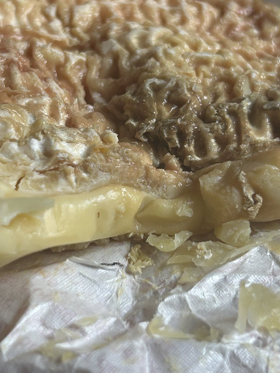Tatianaperitif's tweet photo. Aujourd’hui on doit aller faire les courses. 
Je note sur la liste : fromages. 
Mon père : « j’ai encore un camembert au frigo » https://t.co/g6gZB51UV1