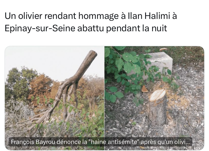 Les haines se répondent : antisémitisme, islamophobie, racisme.
Abattre, brûler, profaner : voilà leur langage.
À nous d’opposer un front commun et inébranlable.