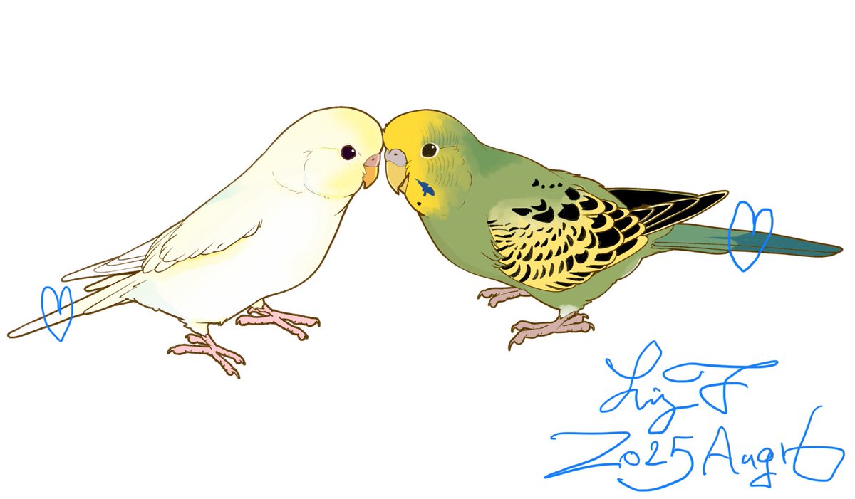 【you】ことりのあそびば　オーダー you】ことりのあそびば オーダー you様専用】ことりのあそびば