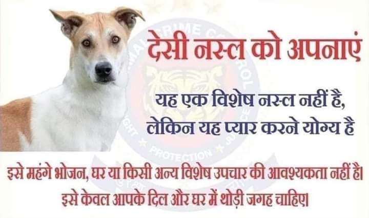 Nishant Bhatia (@bhatia3060) on Twitter photo ABC Rules: Sterilise. Vaccinate. Release. Not remove <a href="/PetaIndia/">PETA India</a>
#SaveDelhiNCRDogs #NoDogsNoVote
<a href="/CMODelhi/">CMO Delhi</a> <a href="/PMOIndia/">PMO India</a> <a href="/narendramodi/">Narendra Modi</a> <a href="/AmitShah/">Amit Shah</a> <a href="/MCD_Delhi/">Municipal Corporation of Delhi</a> <a href="/LtGovDelhi/">LG Delhi</a> <a href="/gupta_rekha/">Rekha Gupta</a> <a href="/BJP4Delhi/">BJP Delhi</a> <a href="/BJP4India/">BJP</a>. ABC Rules: Sterilise. Vaccinate. Release. Not remove <a href="/PetaIndia/">PETA India</a>
#SaveDelhiNCRDogs #NoDogsNoVote
<a href="/CMODelhi/">CMO Delhi</a> <a href="/PMOIndia/">PMO India</a> <a href="/narendramodi/">Narendra Modi</a> <a href="/AmitShah/">Amit Shah</a> <a href="/MCD_Delhi/">Municipal Corporation of Delhi</a> <a href="/LtGovDelhi/">LG Delhi</a> <a href="/gupta_rekha/">Rekha Gupta</a> <a href="/BJP4Delhi/">BJP Delhi</a> <a href="/BJP4India/">BJP</a>.