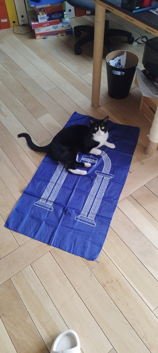 Quand je devais garder un chat et que j'avais renta les tap-in