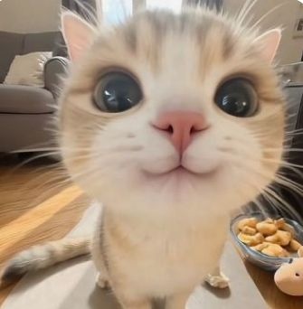 Missed me ?