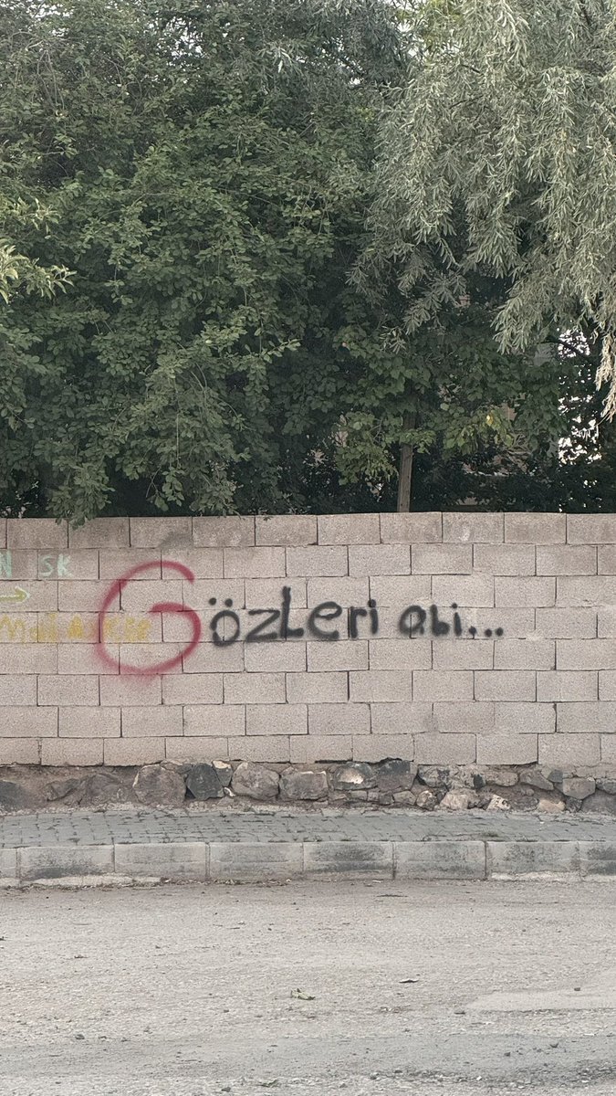 Memlekette duvar yazıları 🫠