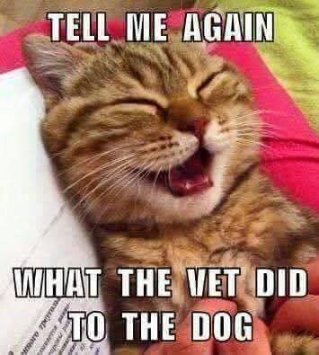 _JOKEmptySpace's tweet photo. @Everol_84 @Lilymaescloset @Techriaz @chairshotsports @MaryBro69276369 @missyncj @ikeroy82_roy @NicolaC51255305 @AddictSox @AllDayRascalz @csbbn1800 @lana_drop @ThisIsTNA @JamelMcgee9 @1WingedElite @Redseanation @RachaelSadlier @execution84 @TheMooseNation Thanking you with a #DailyGiggle full weekend of TNA Wrestling tonight; Slammiversary Fade Out special documentary, last week's Xplosion this week's Xplosion & IMPACT ending with Emergence 👍👎💔 #ThankYouSami #DeathMachine #SamiCallihan https://t.co/rytu0WP9nM