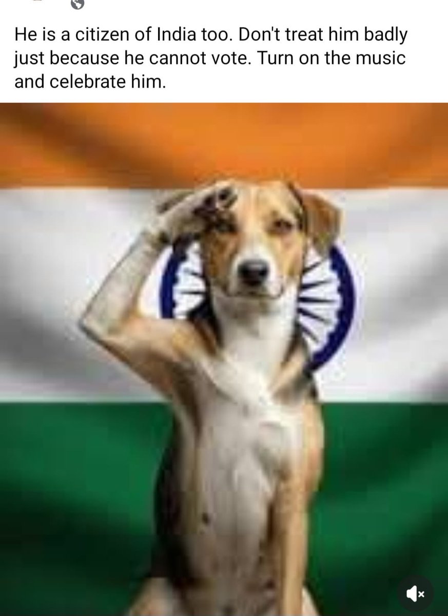 Pounds will breathing grounds for pestilence. It takes more funds to feed and provide medical care to dogs than to just sterilise. 

It’s incredible that we are not seeing the unassailable fact

#SaveDelhiNCRDogs