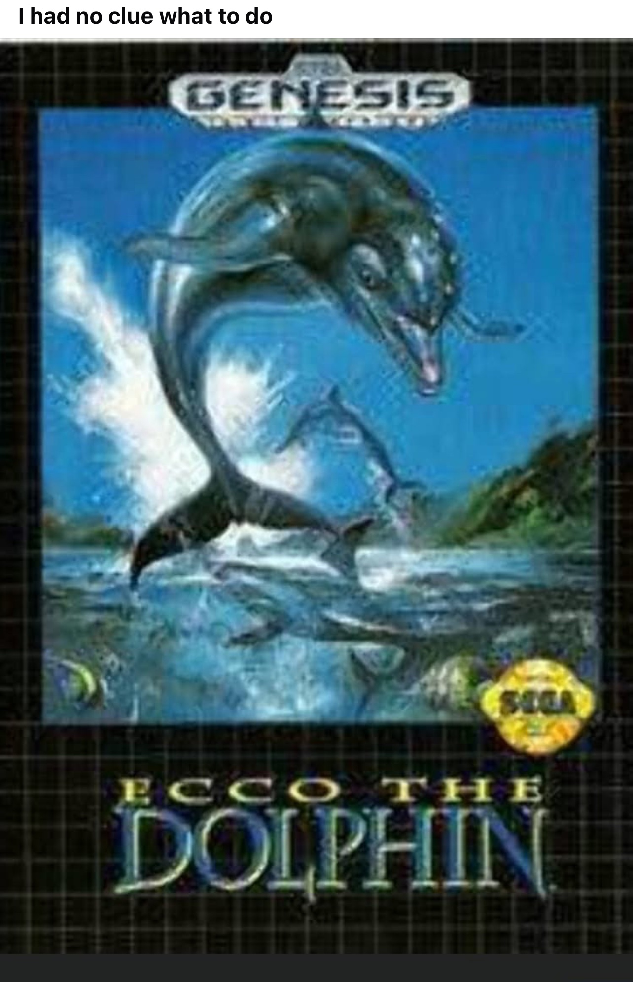 ミュージック brainchild's/YELLOW DOLPHIN 305644.jpg