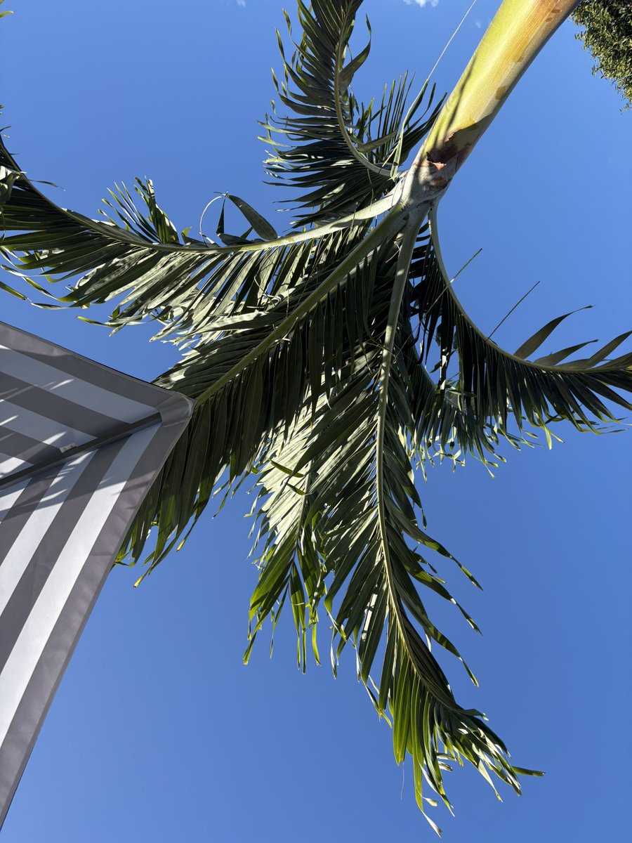 𝕂𝕒𝕥 tweet media