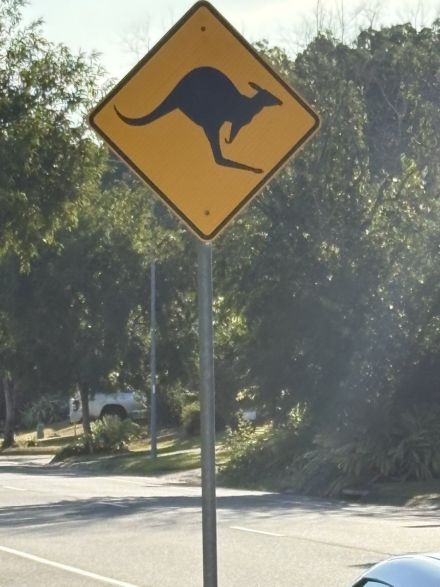 𝕂𝕒𝕥 tweet media