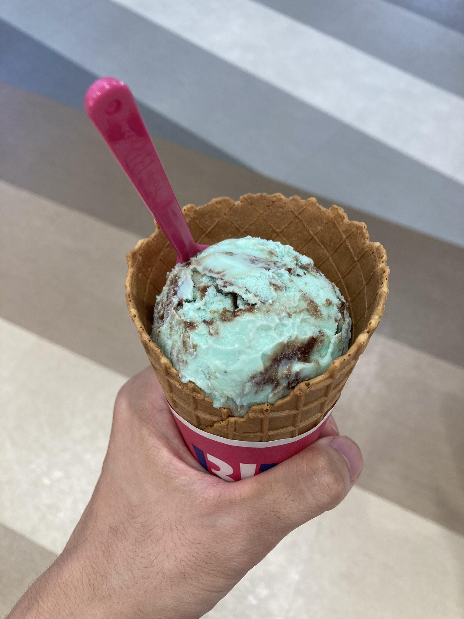 みんとちょこ みんとちょこ みんとちょこ チョコミント | スピードバード