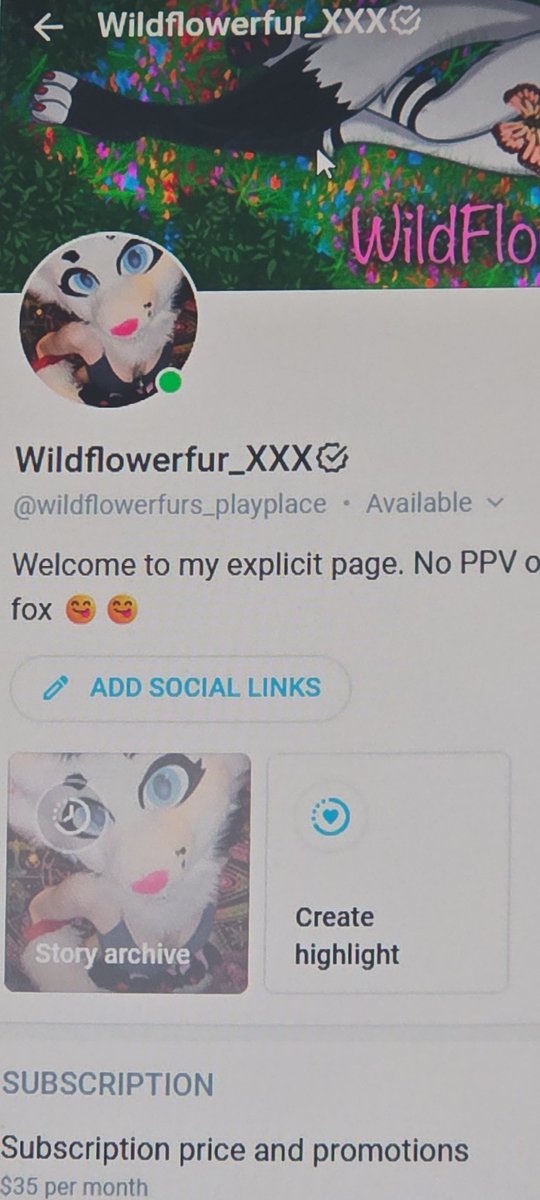 Made a new Onlyfans account 🥰🥰 it will be $50/month BUT as the picture says it will have NO PPV posted to it. I am working on uploading all my previous content (almost 1200 pieces) so feel free to go subscribe if you'd like to see every inch of me 🤭 

onlyfans.com/wildflowerfurs…