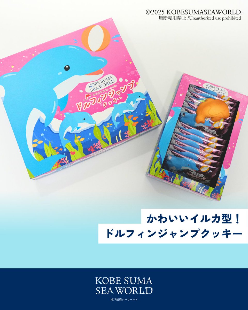 ありがとう価格★沖宮神社ドルフィン夜光貝★円満な関係回復オルゴブレスレット 神戸須磨シーワールドのお土産商品「ドルフィンジャンプクッキー