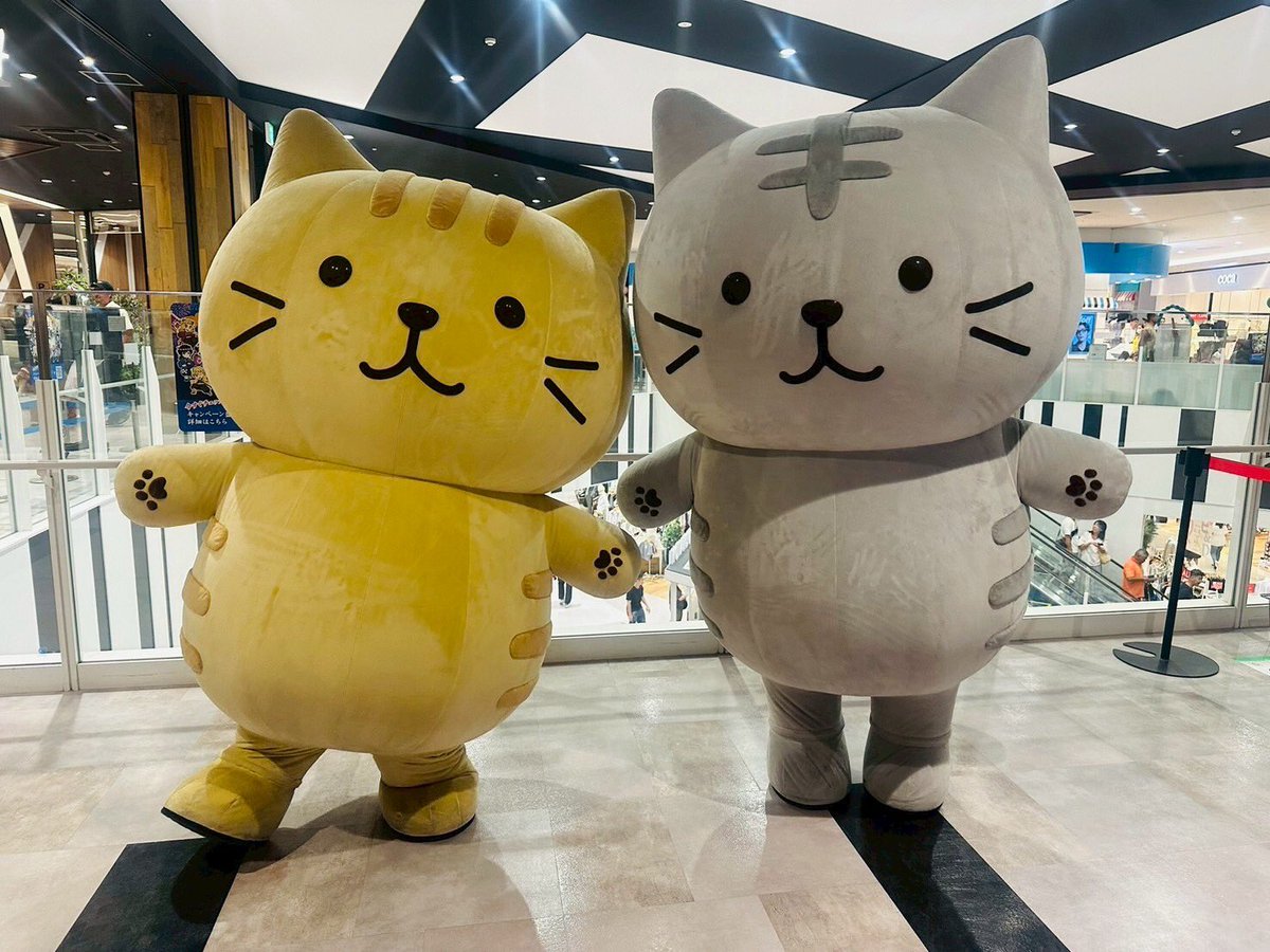 Fuku Fuku Nyanko(ふくふくにゃんこ) on X