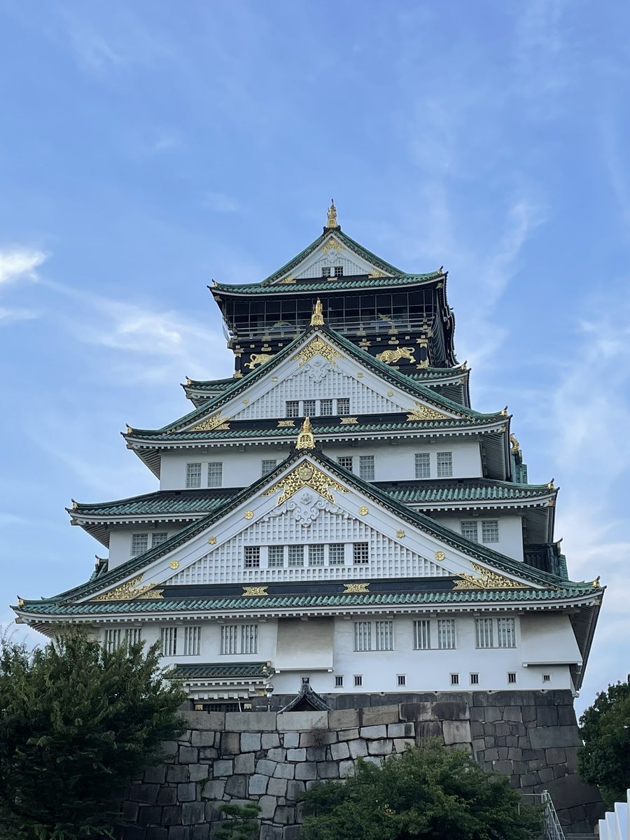 きっど🕷️ tweet media