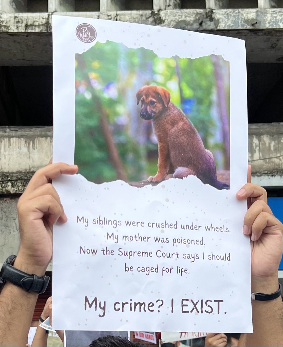 Every rupee spent on cages for mass impoundment of community indie dogs can and should be saved through stringent implementation of the ABC programme, complete vaccinations and proper, affordable, accessible healthcare services to caregivers for indies. #SaveDelhiNCRDogs #Delhi