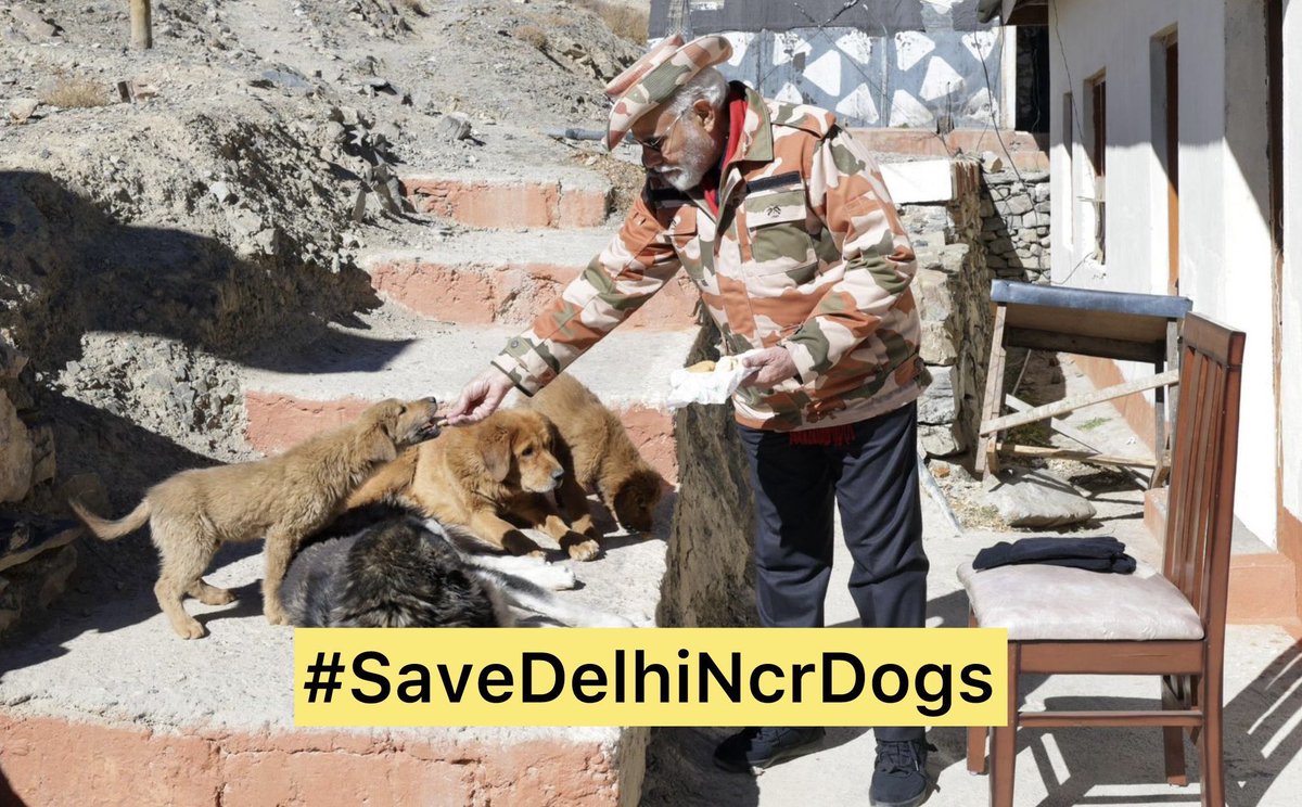 Gurkaur7's tweet image. Modi ji, please save our dogs, ‘Pehle roti gai ki akhri kutte ki’, save our Sanskriti save our community dogs, We know you are a dog lover, show your compassion 

#SaveDelhiNCRDogs #savedelhincrdogs2025 @narendramodi @PMOIndia @_MukeshAmbani @gupta_rekha @CMODelhi @BJP4India