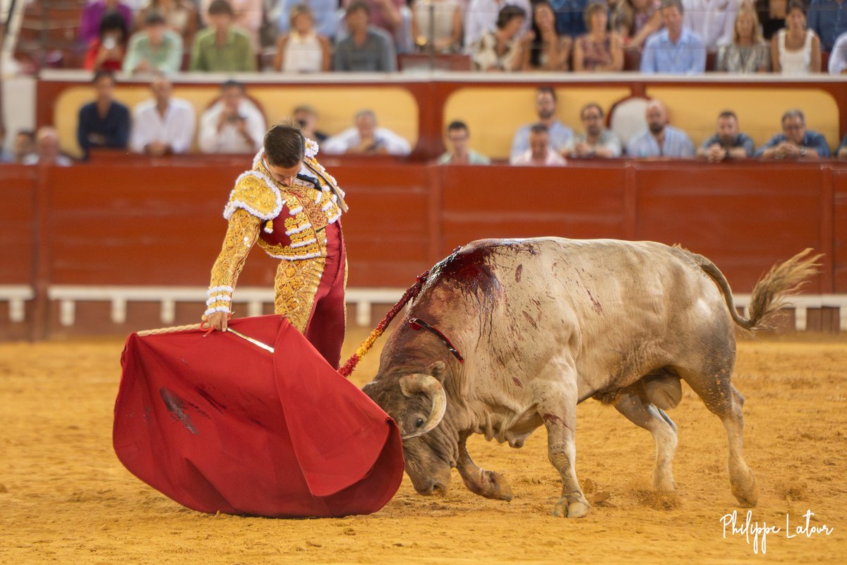 De momento, no se ha podido conseguir ninguna substitución, y no es por no intentarlo. Ser apoderado "a la antigua" requiere una alta resistencia a la frustración y al NO.
A lo q no resisto, es pensar que ninguna empresa tendrá a bien "recompensar" los triunfos de Daniel Crespo.