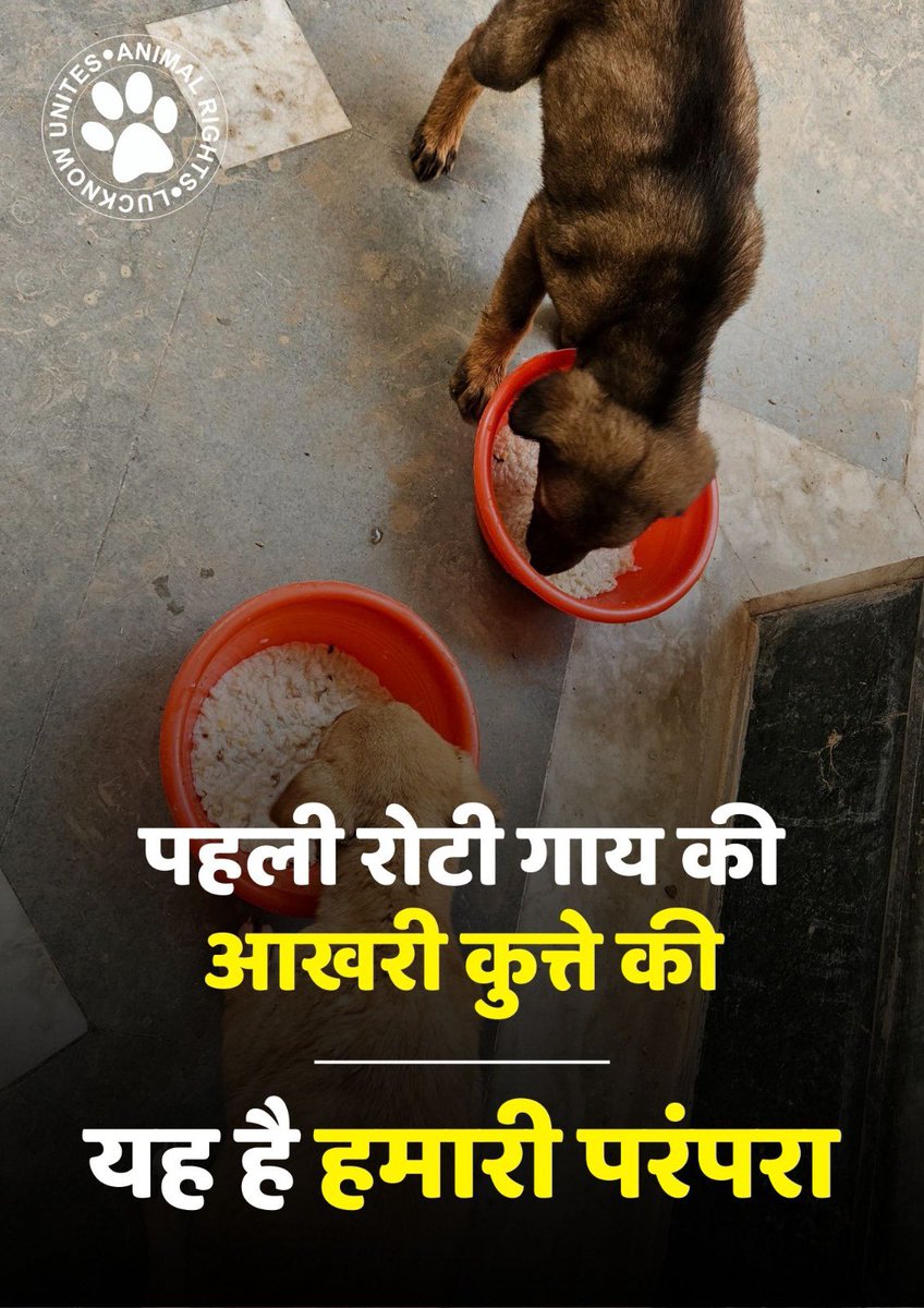 PandeyKamna's tweet image. @narendramodi @BJP4India 

#nodogsnovote 
#nodognovote 
#SaveDelhiNCRDogs 
#savedelhincrdogs2025 
#savedelhidogs2025