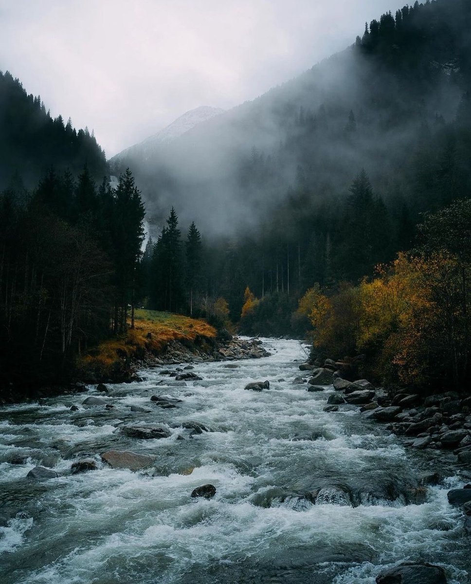 — nature’s poetry