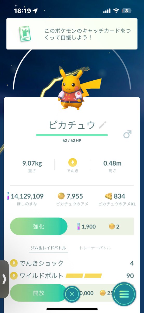 NhBxx's tweet photo. ピカチュウオスメス色違いゲット出来た👍
#ポケモンGO
#色違い
#ピカチュウ
#オス
#メス https://t.co/ikzw8YRezA